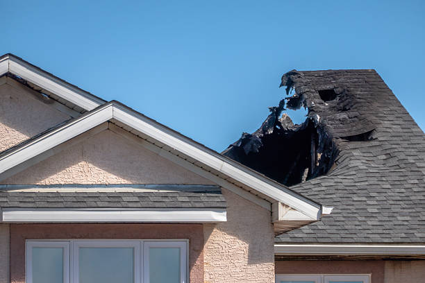 Top rated local Board Up Services specialists in Montgomery, MN